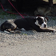 Picture 008
